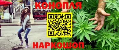 сатива Обнинск