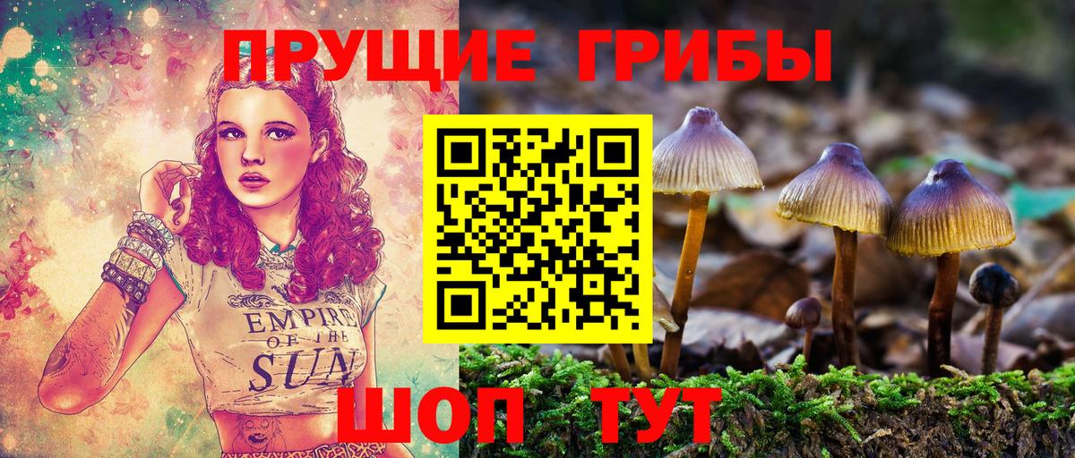 Галлюциногенные грибы Cubensis Сегежа