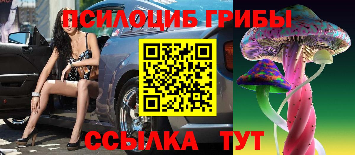 Псилоцибиновые грибы ЛСД  что такое наркотик  Сегежа  Псилоцибиновые грибы MAGIC MUSHROOMS  Вход с VPN 